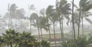 Destruction and Chaos: Hurricane Otis Ravages Acapulco with Unprecedented Force