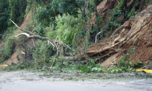 Luxury LA Neighborhood Plagued by Landslides: Power Outages and Evacuations Top Headlines