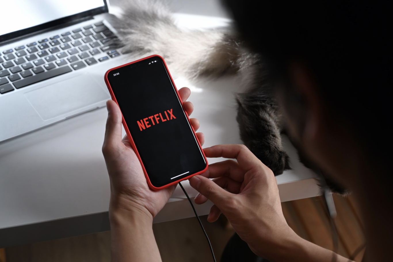 Investisseurs anticipent une hausse des prix avec la croissance des bénéfices et abonnés de Netflix: Des prévisions dépassées ravissent les investisseurs